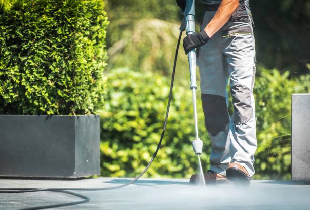 Best Graffiti Removal  in Riverdale, IL